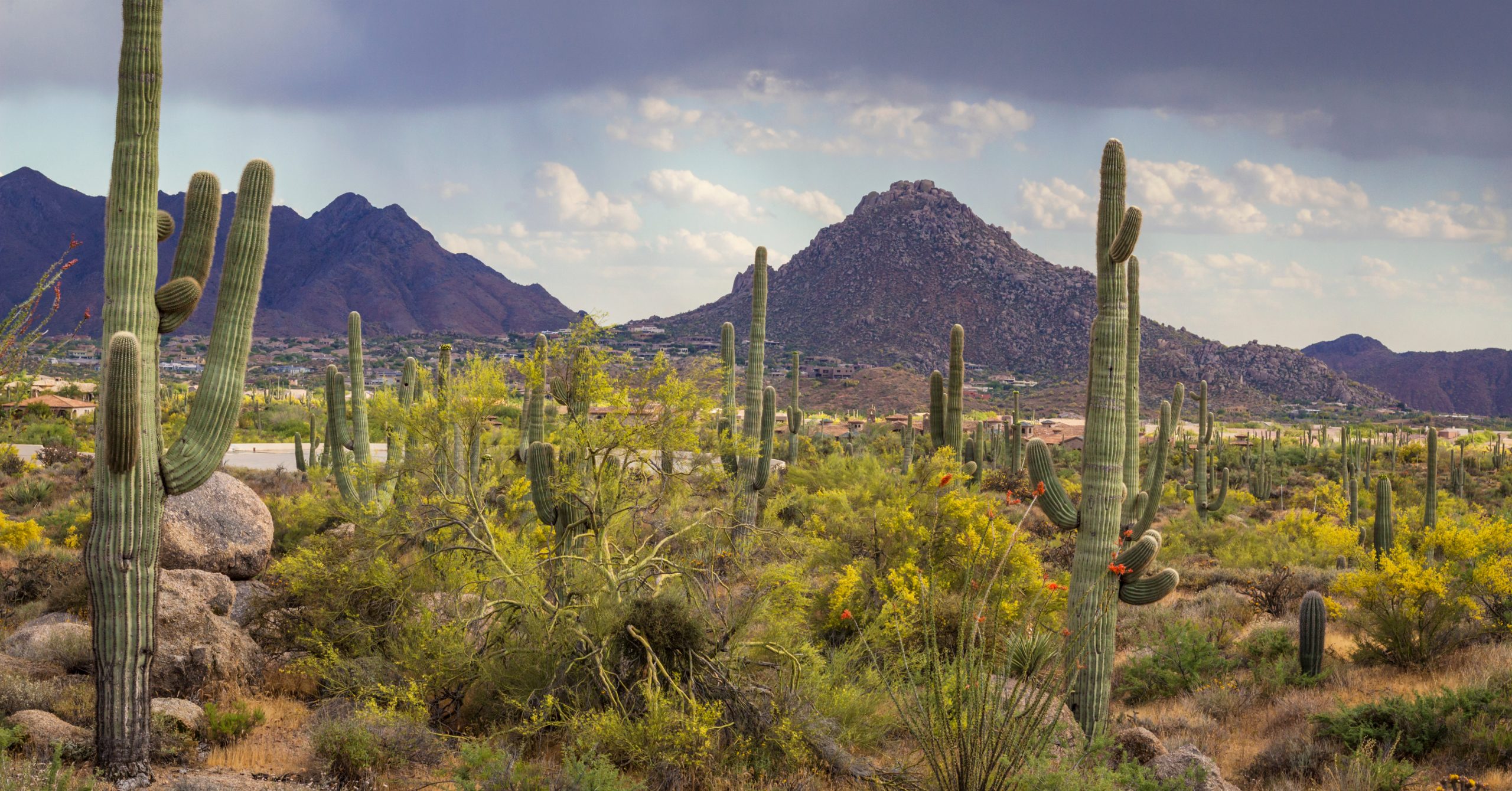 Landscape Image Of the Troon Neighborhood Area if North Scottsdale Arizona during spring time.