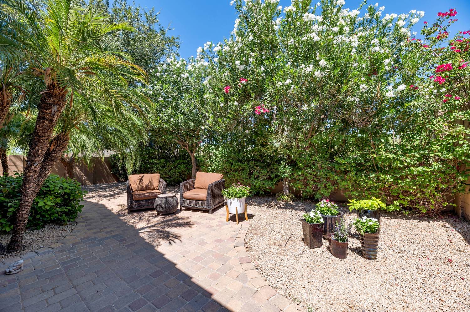 Two cushioned chairs on a paver patio in an Arizona backyard garden with palm trees and flowering oleanders