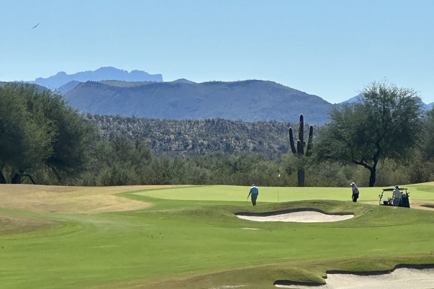 Desert golf course green with sand bunkers, a tall saguaro and mountains behind it under a clear Arizona sky